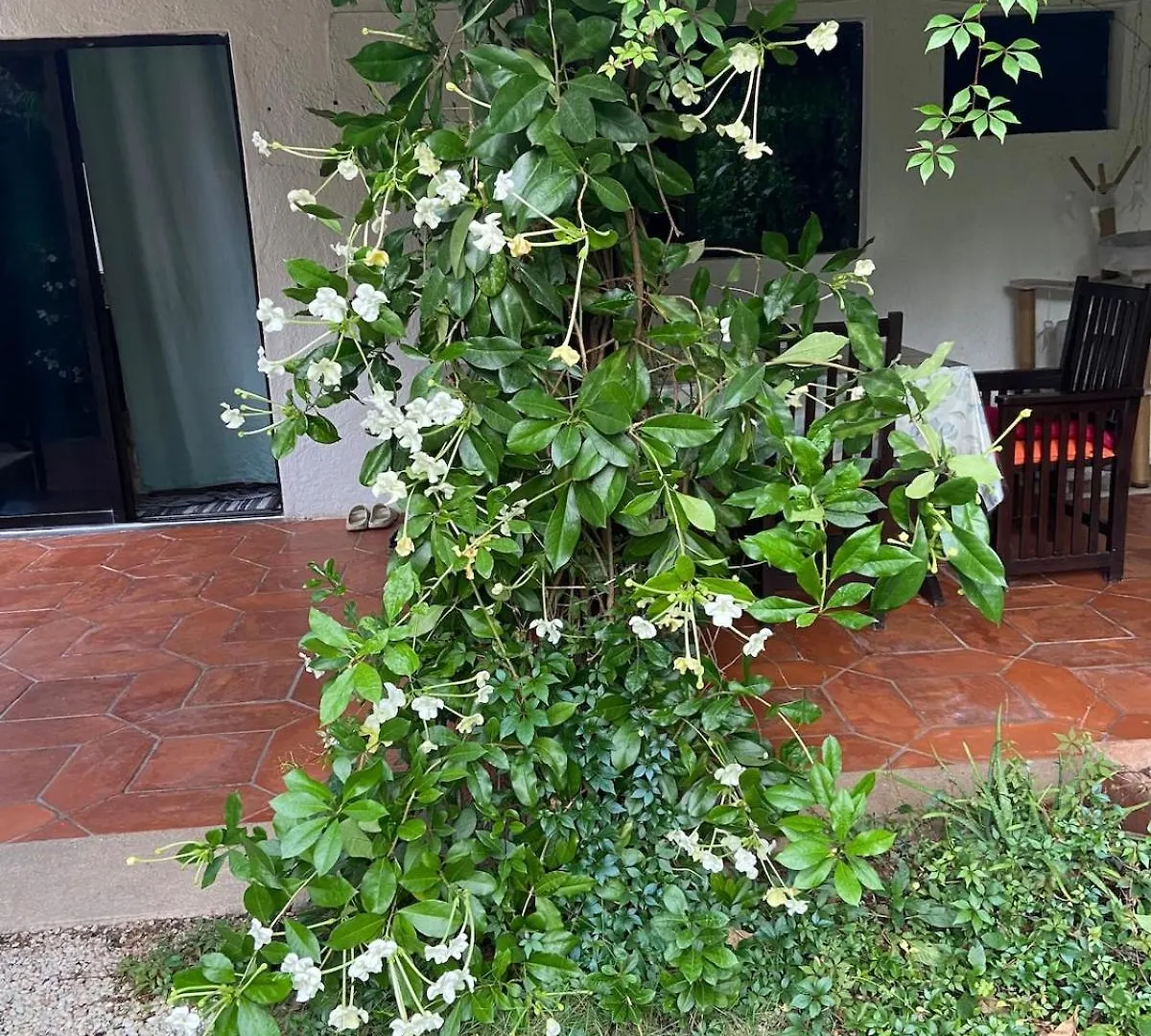 Apartamento Charming Very Quiet Center Renewed Playa del Carmen