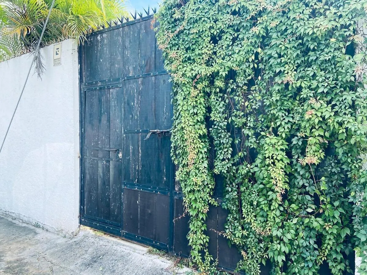 Charming Very Quiet Center Renewed Playa del Carmen Apartment